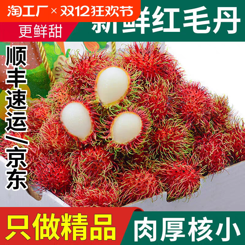 【助农精品】现货红毛丹现摘现发新鲜水果毛荔枝孕妇当季水果甜