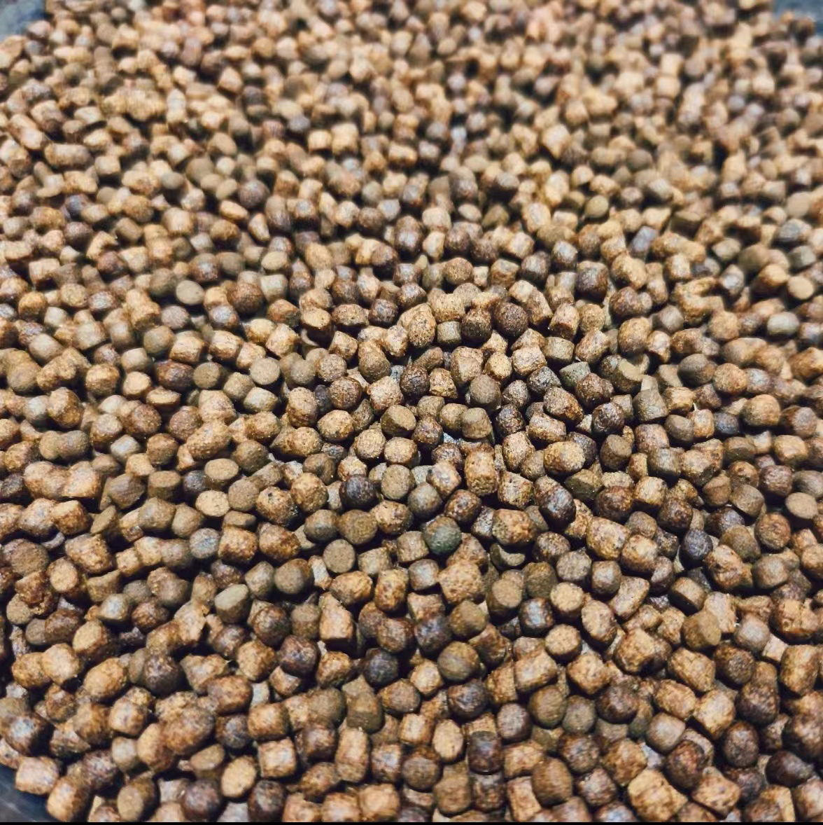 渔场自用锦鲤料福利活动专拍