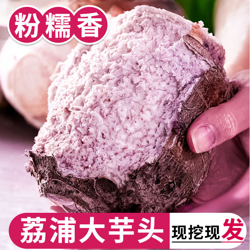 广西荔浦新鲜小芋头品质口感粉糯细腻生态产地优质种植