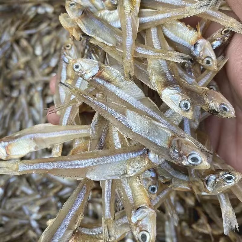 海鱼白帆鱼干公鱼仔  广东海产干货 60g