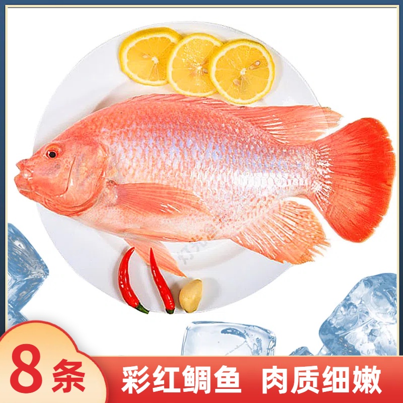 J彩红鲷鱼6斤8条(代杀去肚) 杀后到手约5斤 速冻非活发 送2包豆豉