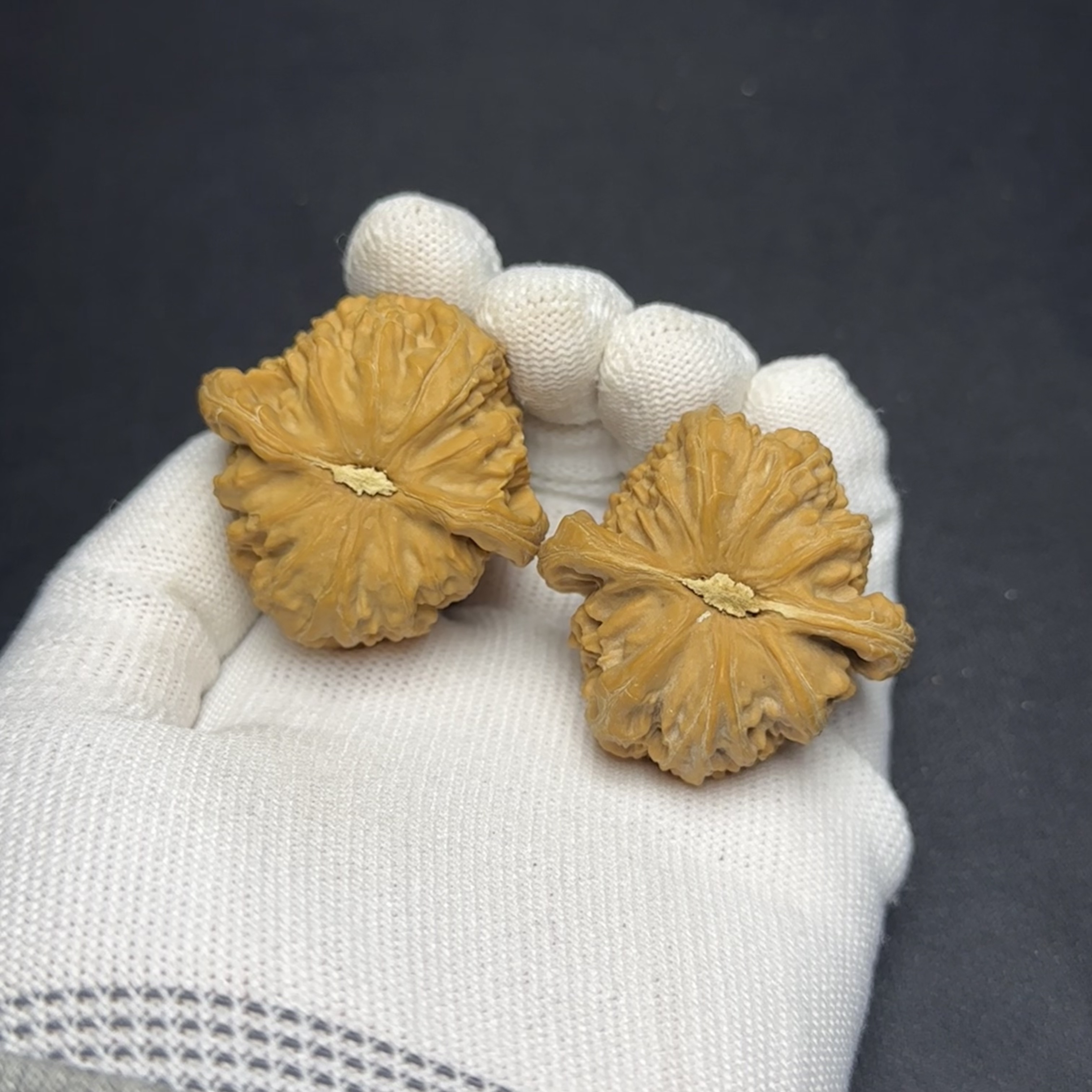 【伊澜文玩】文玩核桃-精品三角白 尺寸35左右