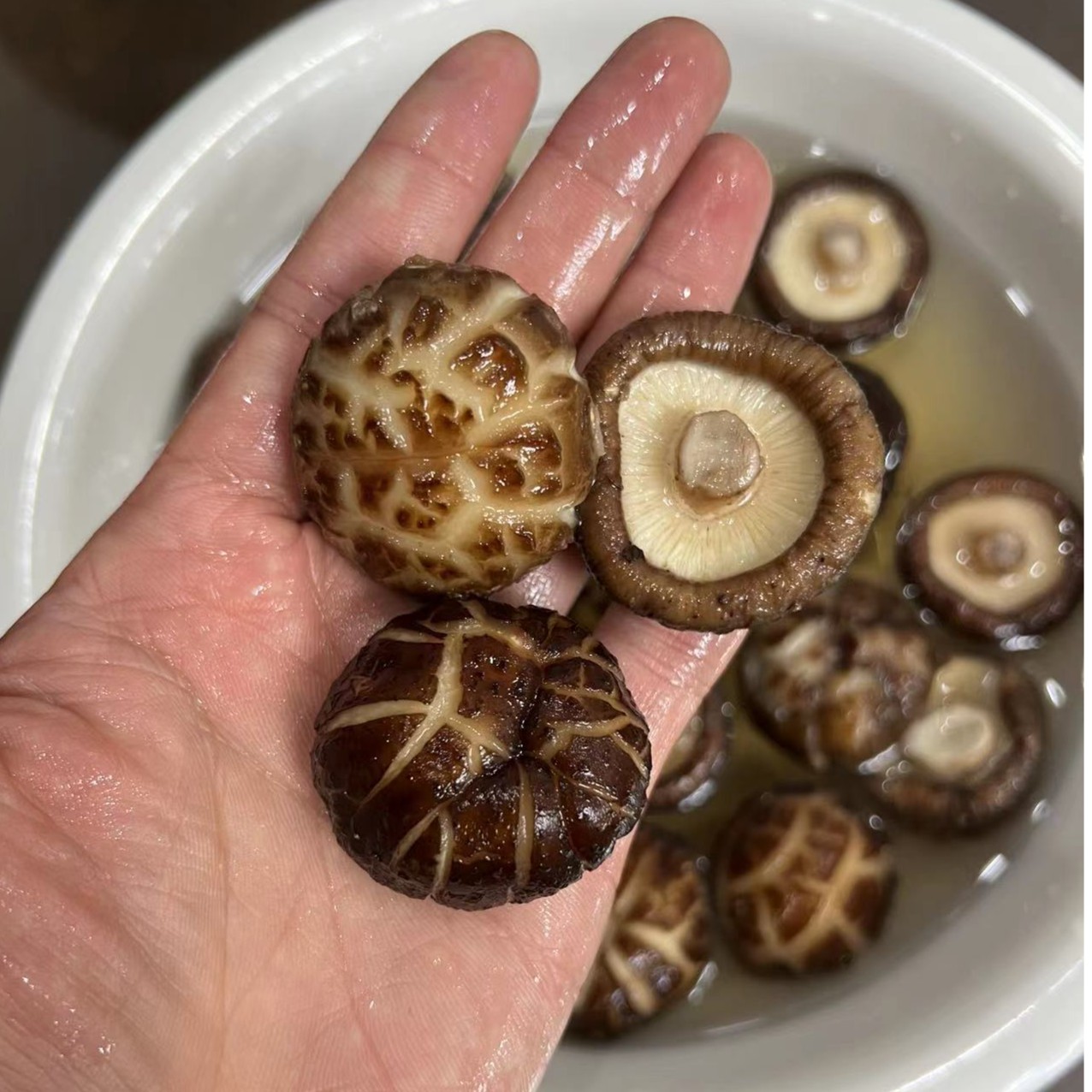 金东优选 大别山香菇花菇新鲜干货肉厚头茬250克/半斤