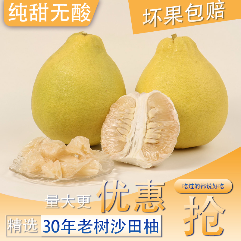 广西特产容县沙田柚精选山顶老树果纯甜产地直发柚子【蛇皮袋装】