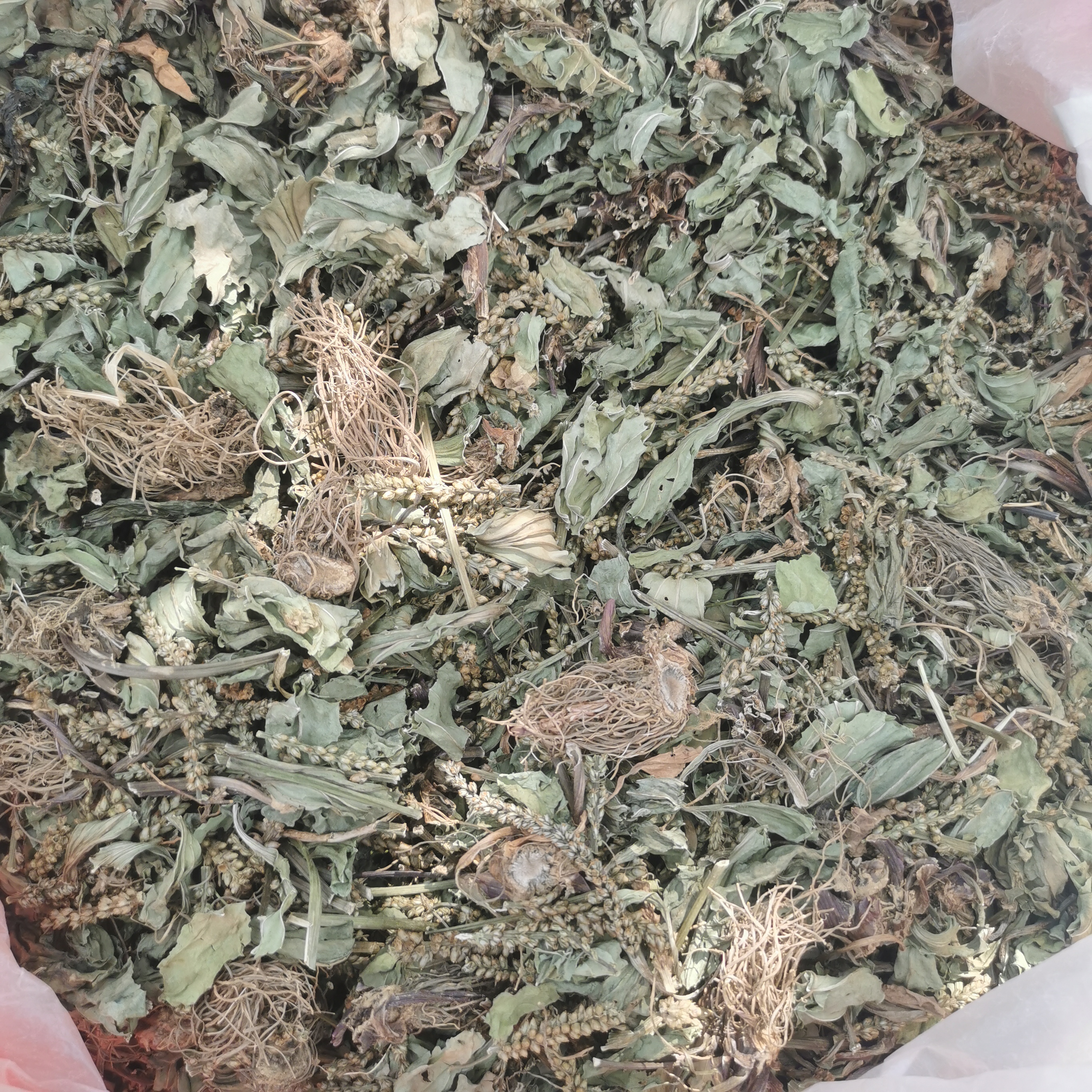 Y野生车钱草 农家采摘 自然晒干 250克