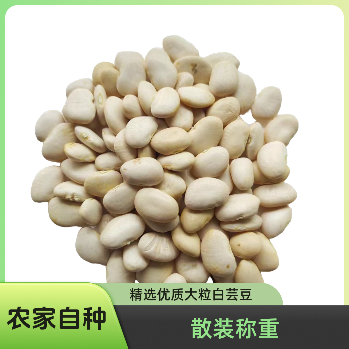 Y农家自种晒干白芸豆 白扁豆白豆子 散装1斤2斤