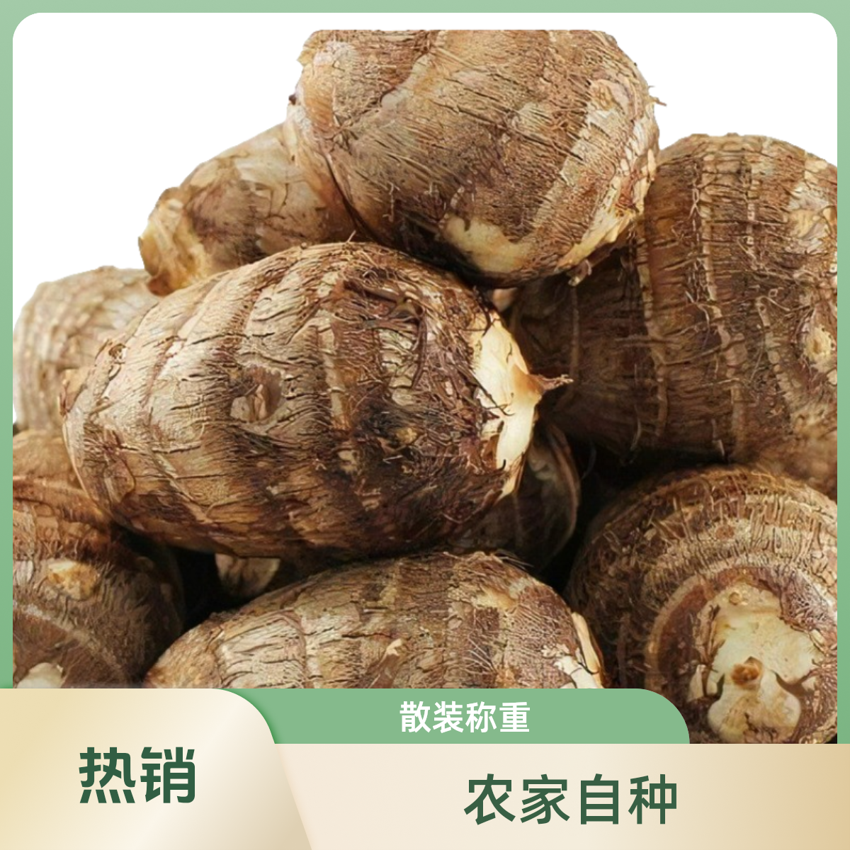 Y农家芋头芋头母带泥土发货 精品芋子 散装4.5~5斤装
