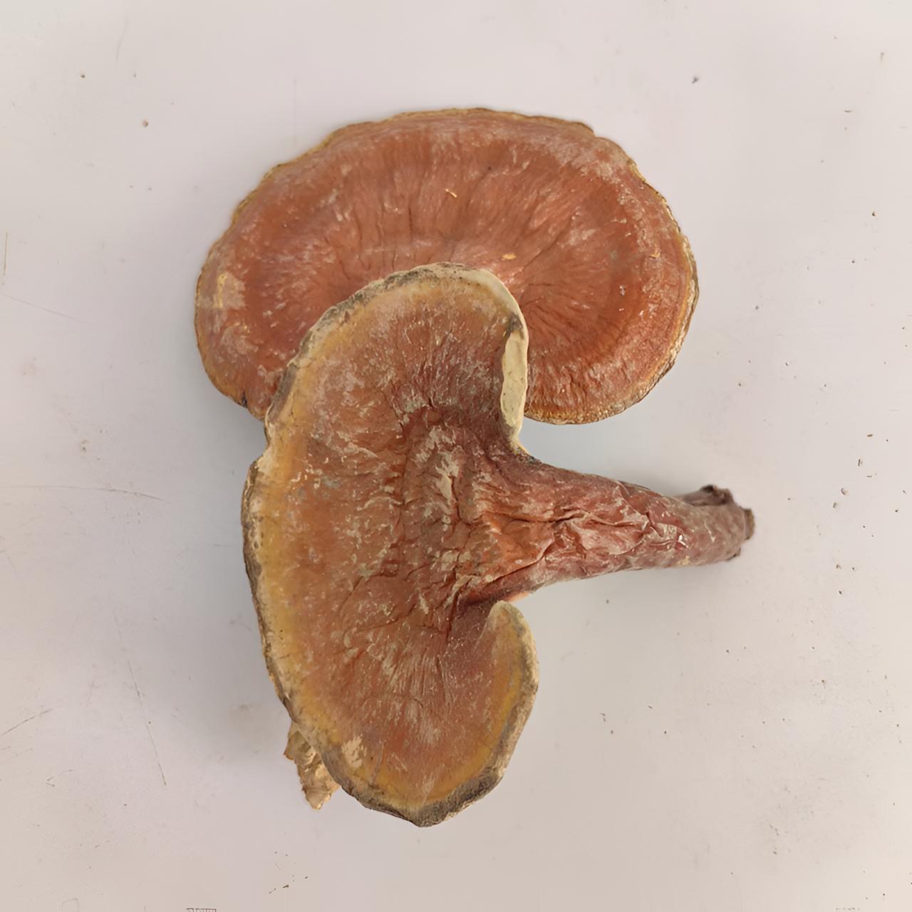 Y农家野生瑞草三秀 自然晒干 散装250克