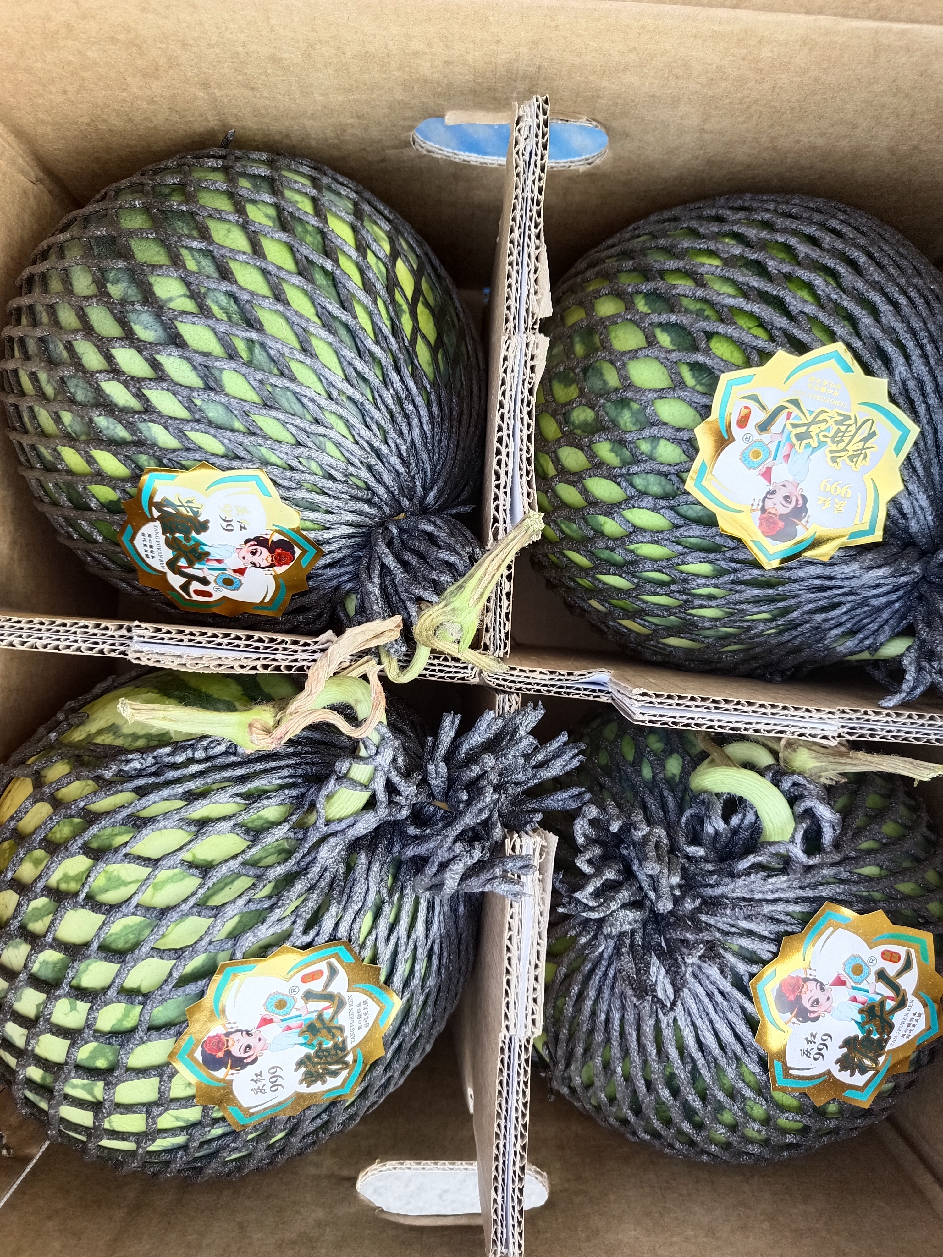 美都无籽西瓜1个