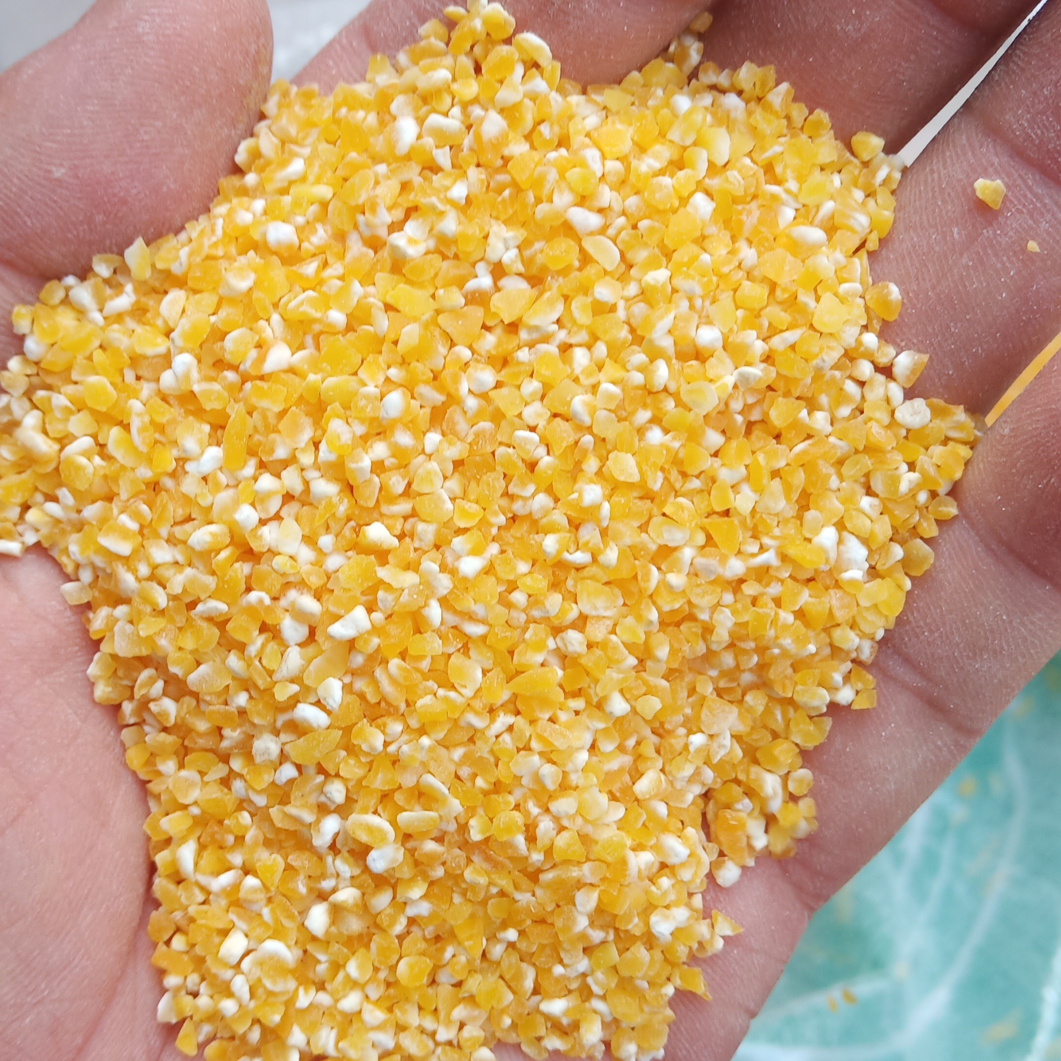 2025新小碴子  小玉米糁(5斤)