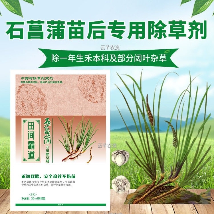 【小扬哥甄选】除草剂石菖蒲苗后专用除草剂禾阔双除安全不伤苗厂