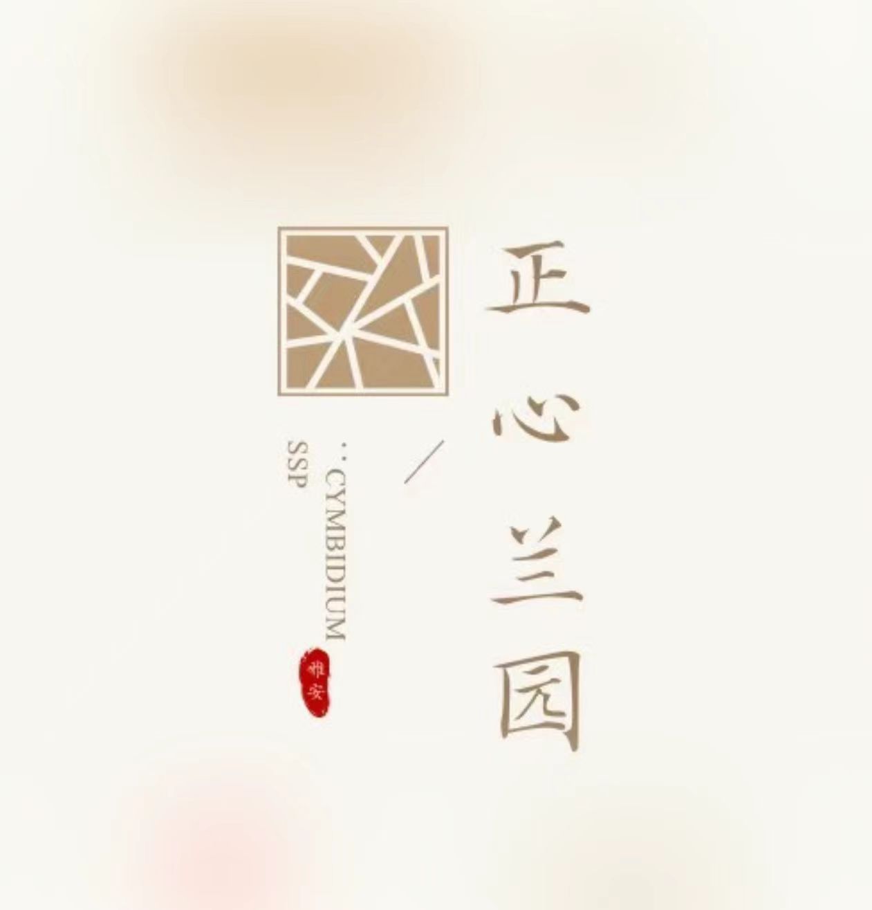 直播间随机送兰花