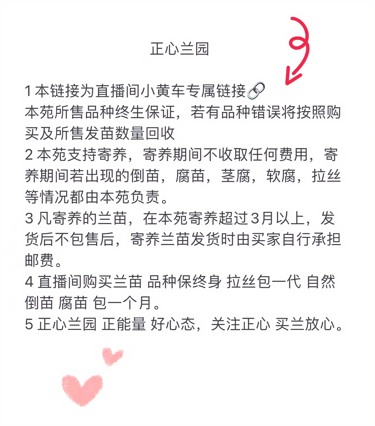 直播间兰花小黄车下单2号链接（一物一拍）