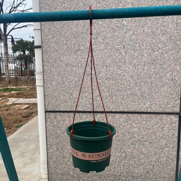 球兰绿色加仑盆挂钩适用于各种攀爬花卉挂钩