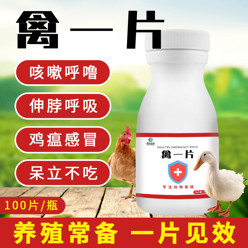 禽一片鸡鸭鹅鸽子鹌鹑精神不好咳嗽呼噜张口呼吸一片就好