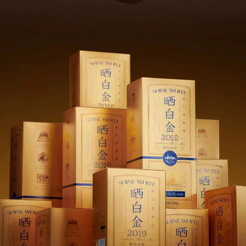 晒白金福鼎白茶宠粉福利60g 