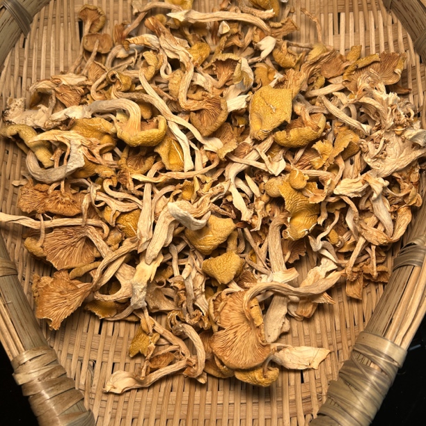 【助农代卖】黄金菇