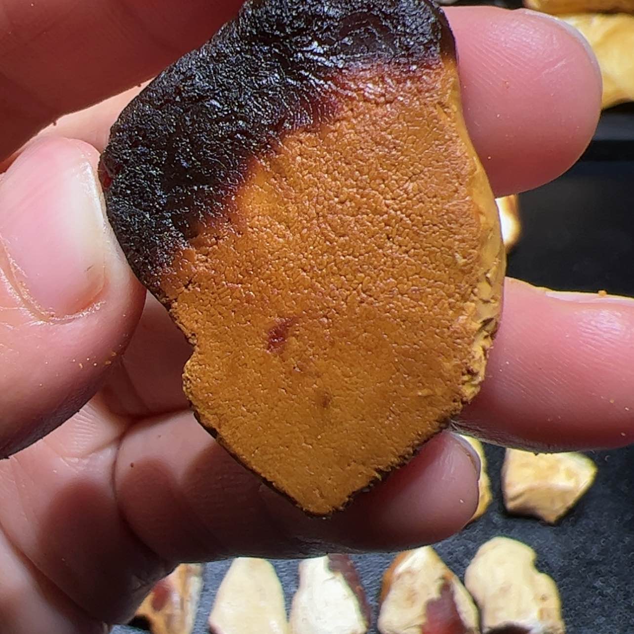 【闪购商品】定制琥珀未镶嵌ᝰ****卿