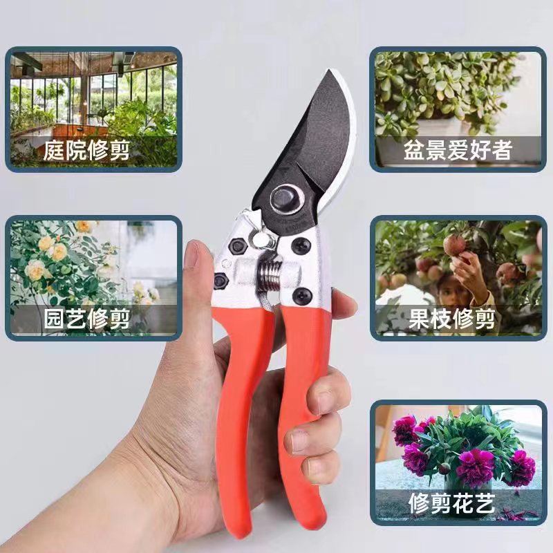 【植予花田】进口高品质花艺剪刀/花艺剪刀马醉木