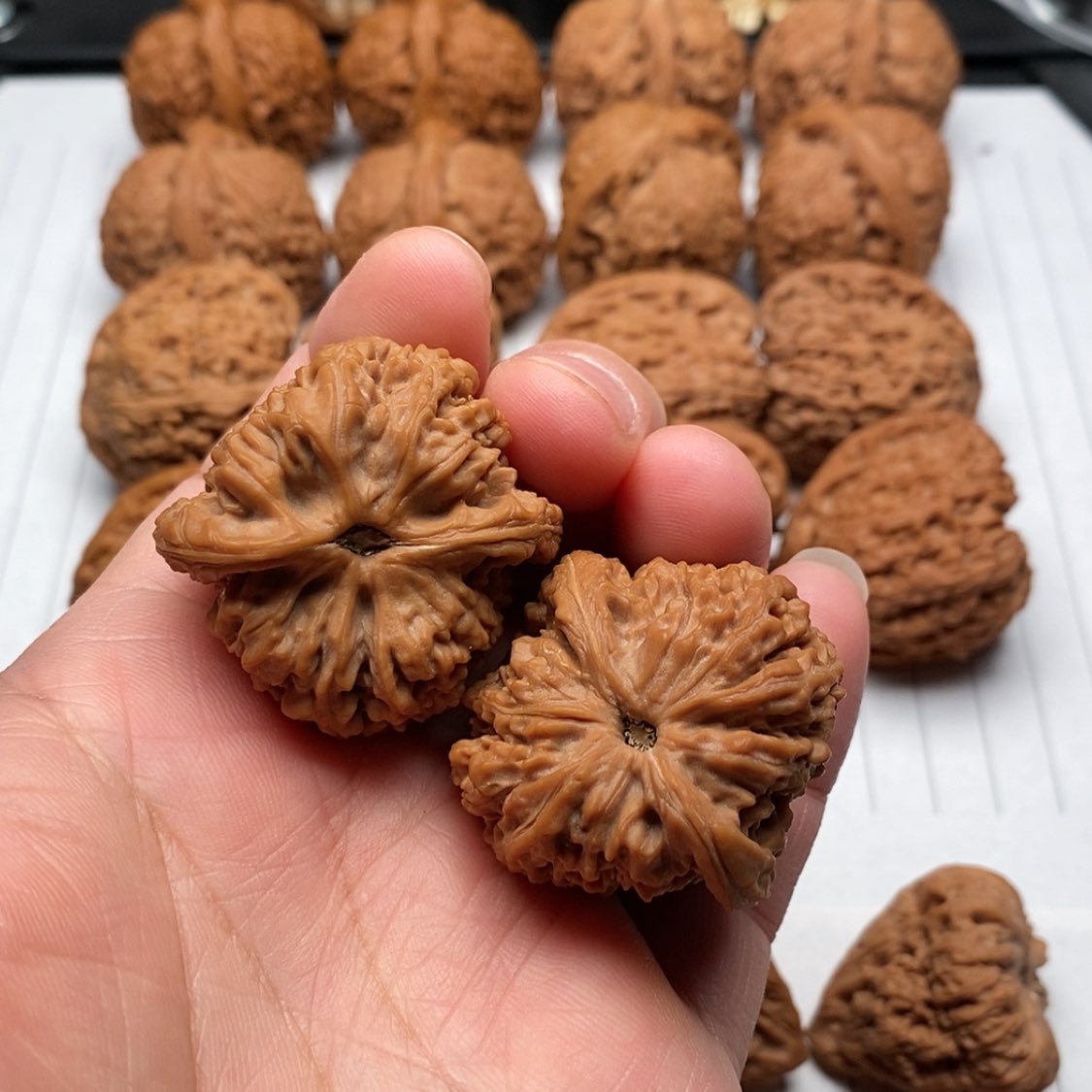 【闪购商品】文玩核桃把件M****飞
