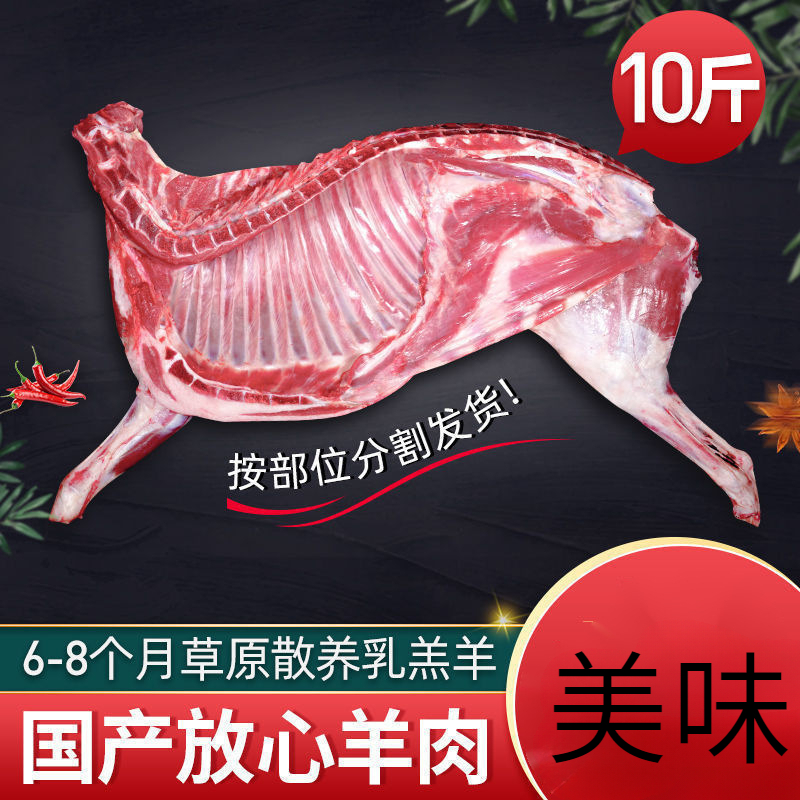 散养半只羊10斤内蒙草原羊腿排火锅烧烤食材优选鲜嫩分割冷冻发货