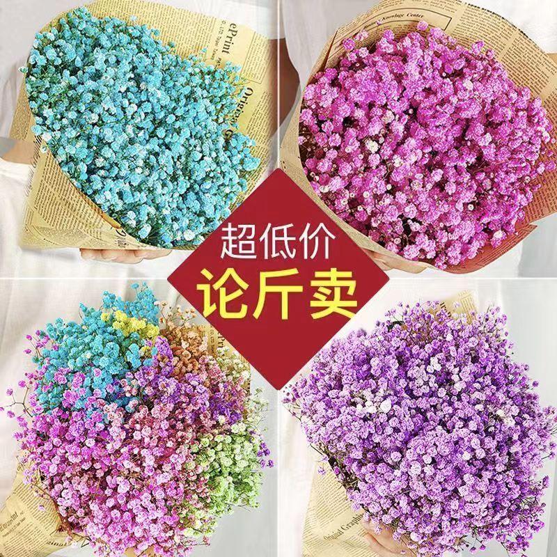 满天星干花花束客厅摆设鲜插干花真花装饰摆件包装送人批发论斤卖