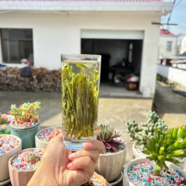 2025太平猴魁 原产地高山手工猴魁  新茶绿茶100g/250g/500g