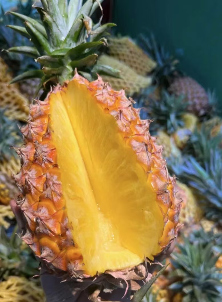 湛江徐闻菠萝好甜