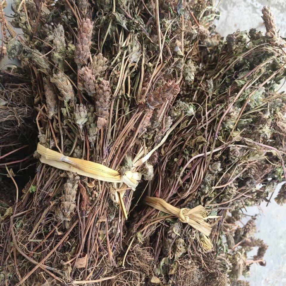 高山野生夏枯草夏枯球自然晒干500克