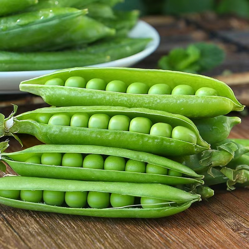云南新鲜甜豌豆新鲜现摘现发当季蔬菜农家高山饱满优质