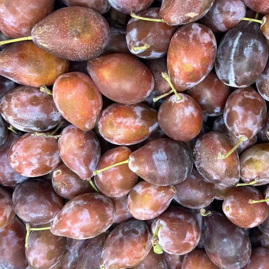 活动西梅|（毛重约1斤）