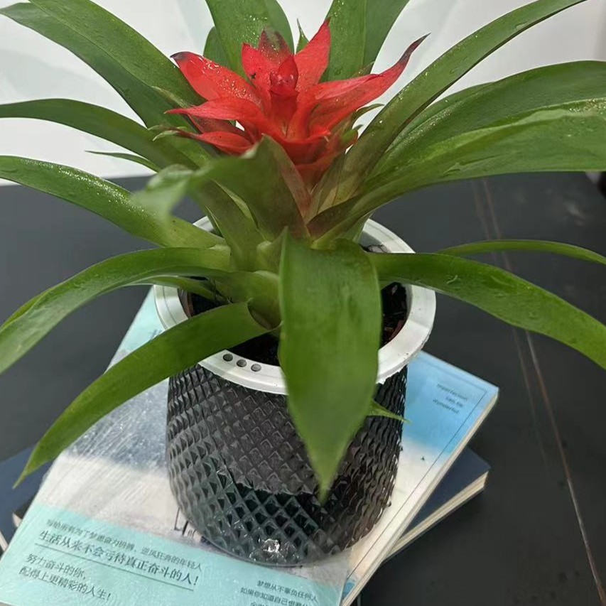 轻奢树脂塑胶花盆