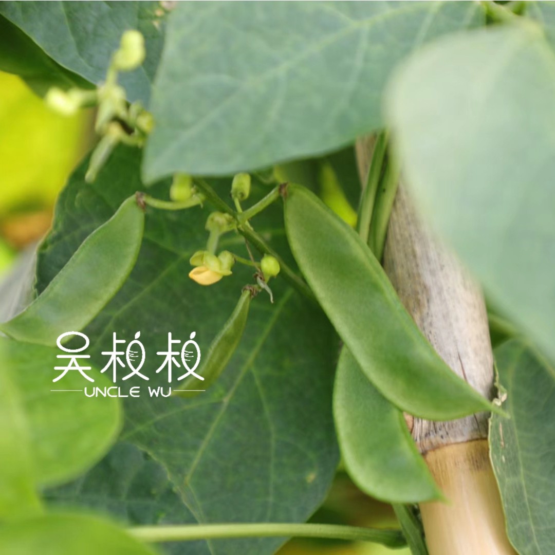 吴叔叔崇明洋扁豆带壳3斤装