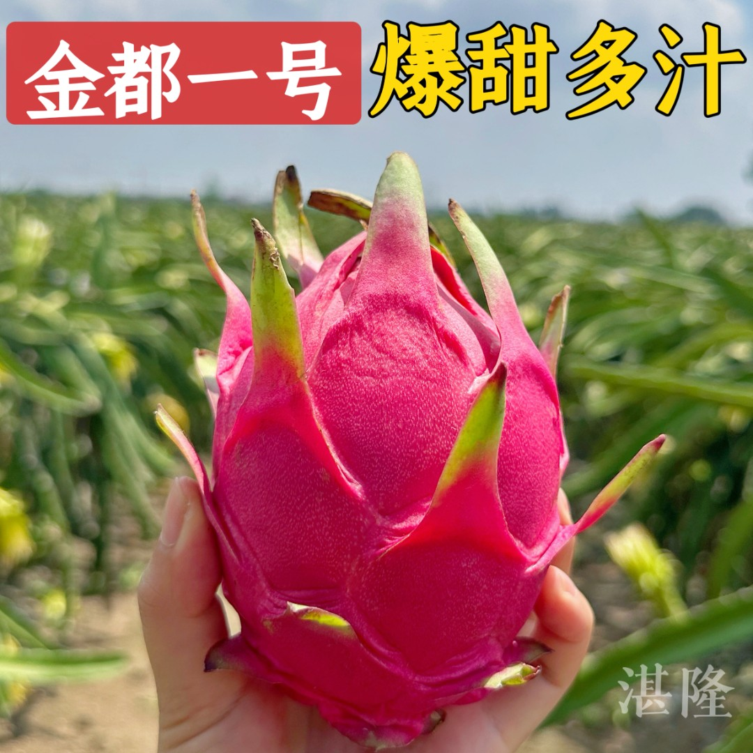 【小明正能量】金都一号红心火龙果应季水果整箱装