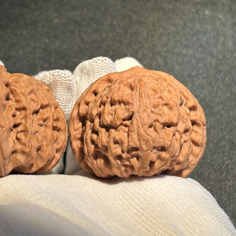 龙脉元宝 山一代