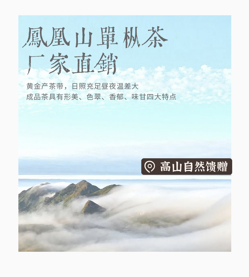 元叶茶厂直播间推荐优质茶叶