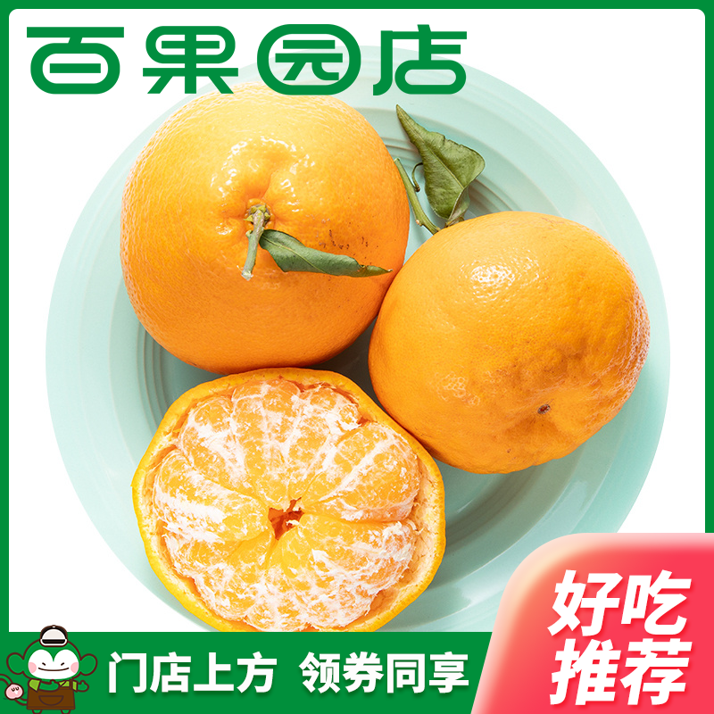 B级-耙耙柑（大）1个/约260-280g