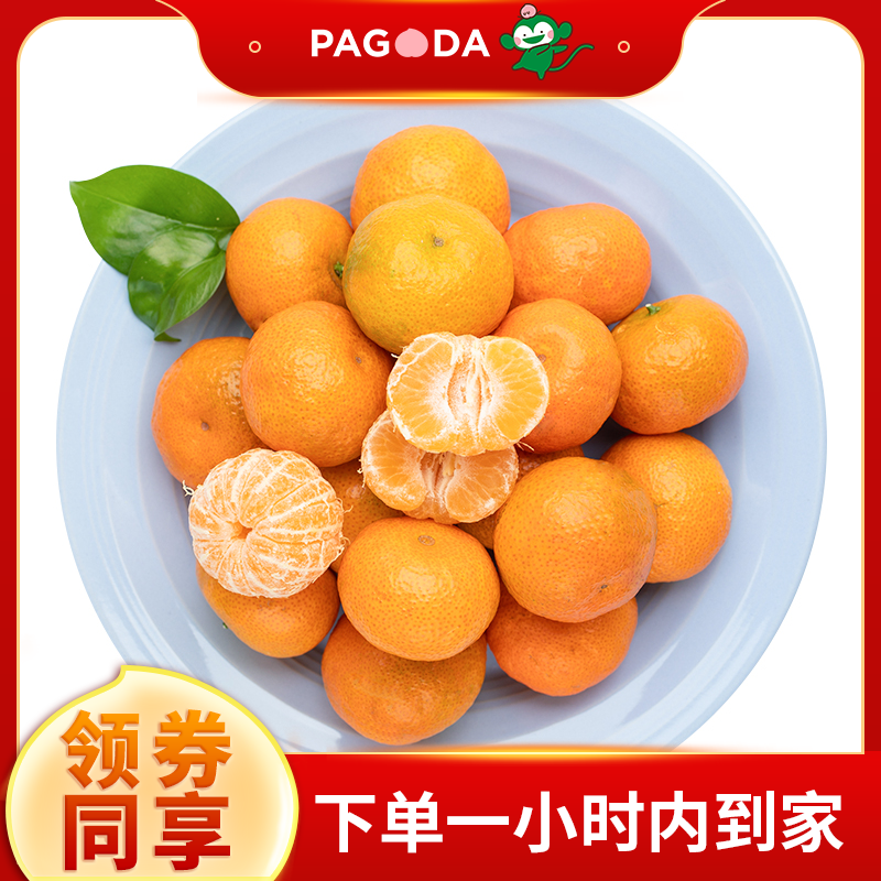 【500g】B级-沙糖桔（中）1份/约450-500g