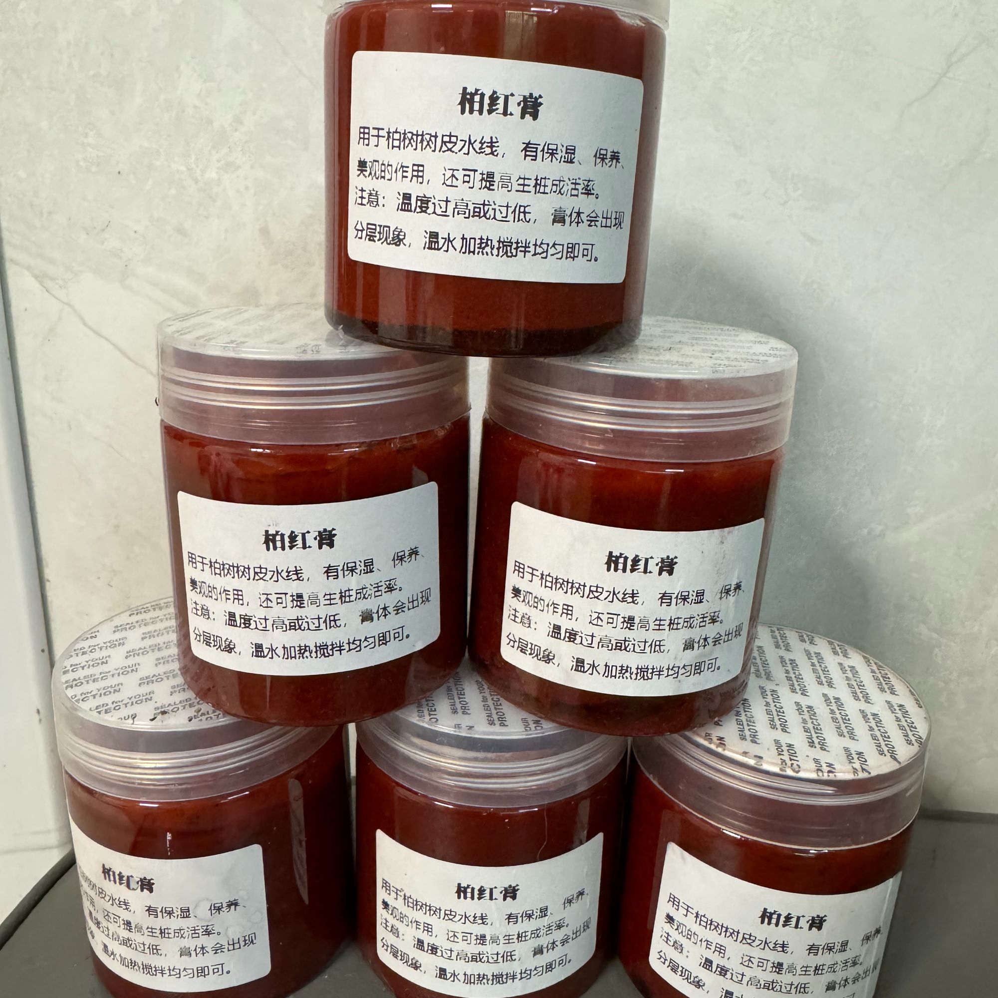 柏红柏树涂抹水线保护液真柏树皮系鱼川水线保护盆景直播济州真柏