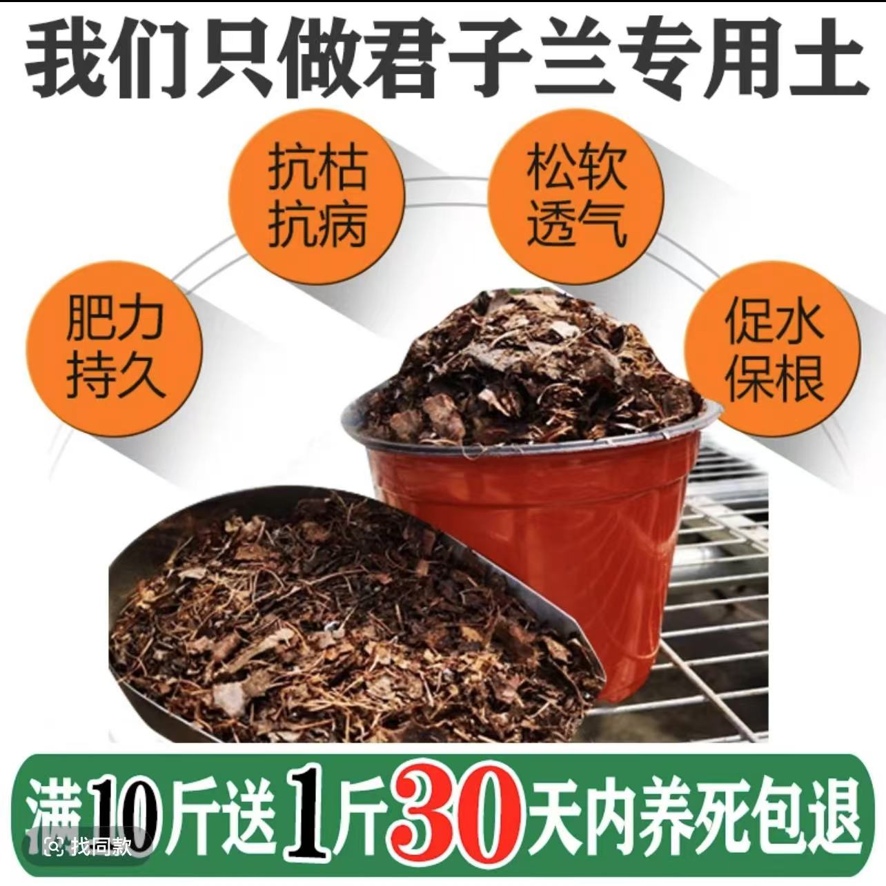 君子兰专用腐叶花土2.5公斤，新疆西藏发250克