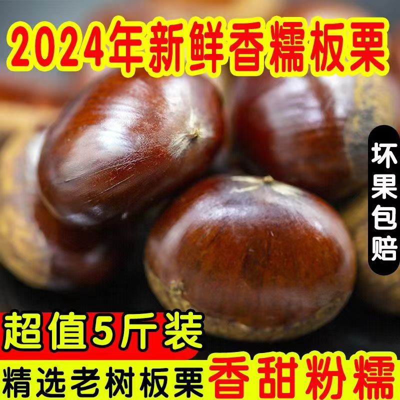 鲜板栗中大果混发装带箱5斤装新鲜老树板栗可蒸煮烤炖冷藏食用