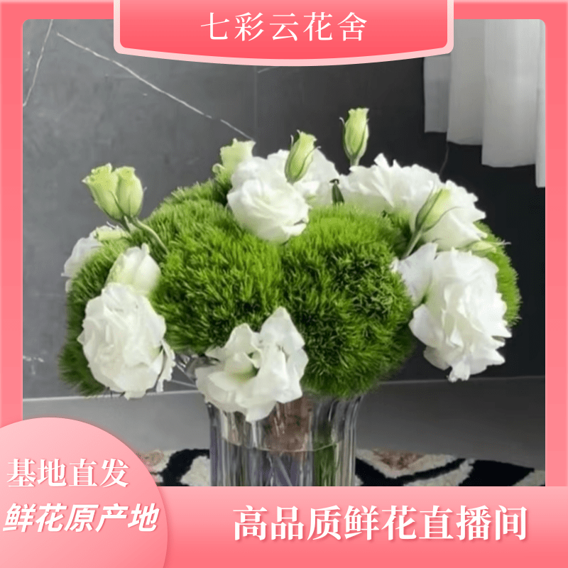 七彩云花【绿毛球+白桔梗】云南鲜花基地直发顺丰冷链包邮