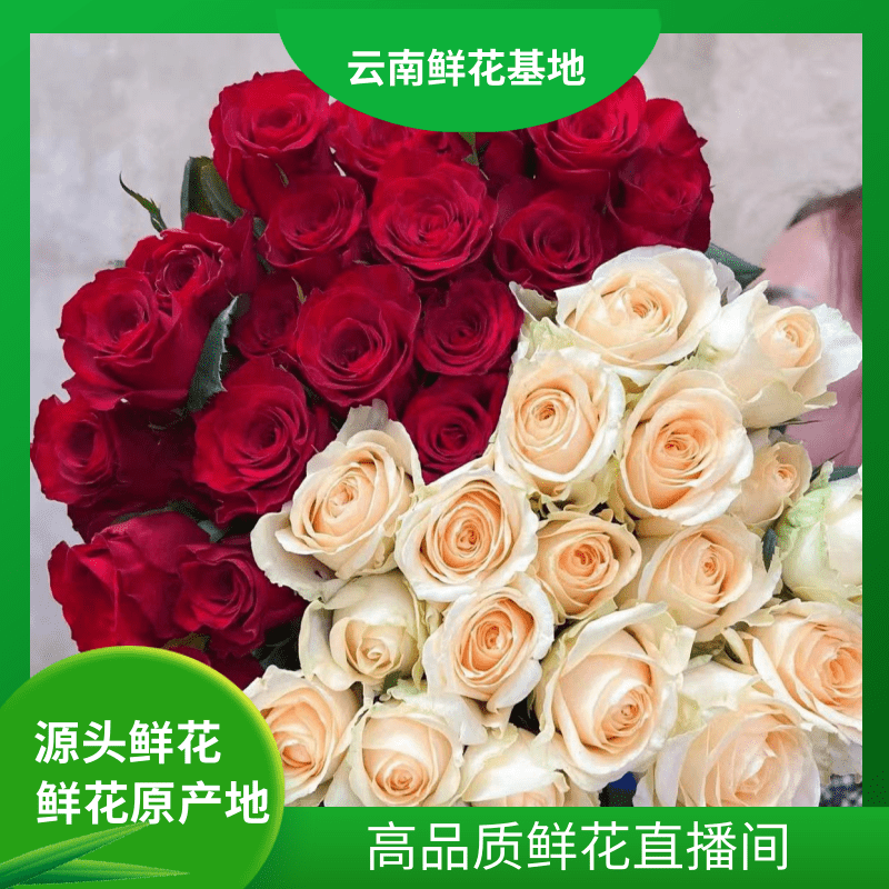 颜花【香槟+红玫】云南鲜花基地直发