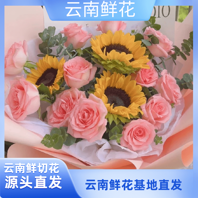 （小花专属）【戴安娜+向日葵组合】云南基地直发 收到深水醒花