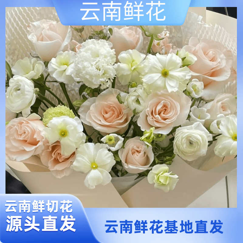 【辛西娅+洋桔梗组合】（小花专属）