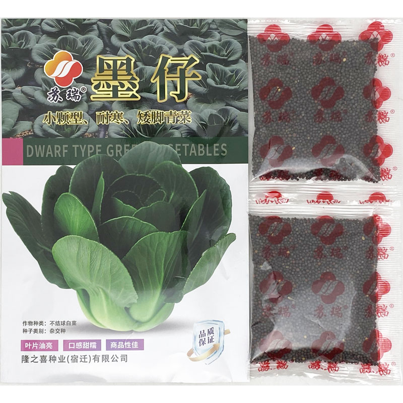 墨仔精黑矮脚青菜种籽高产耐寒矮箕束腰小颗型黑菜种子50克原装