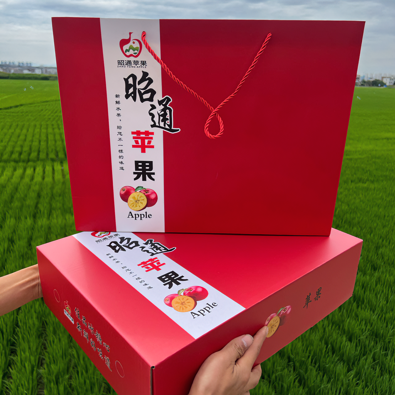 【精品礼盒】云南昭通早熟酸甜丑苹果原生态自然生长自然成熟