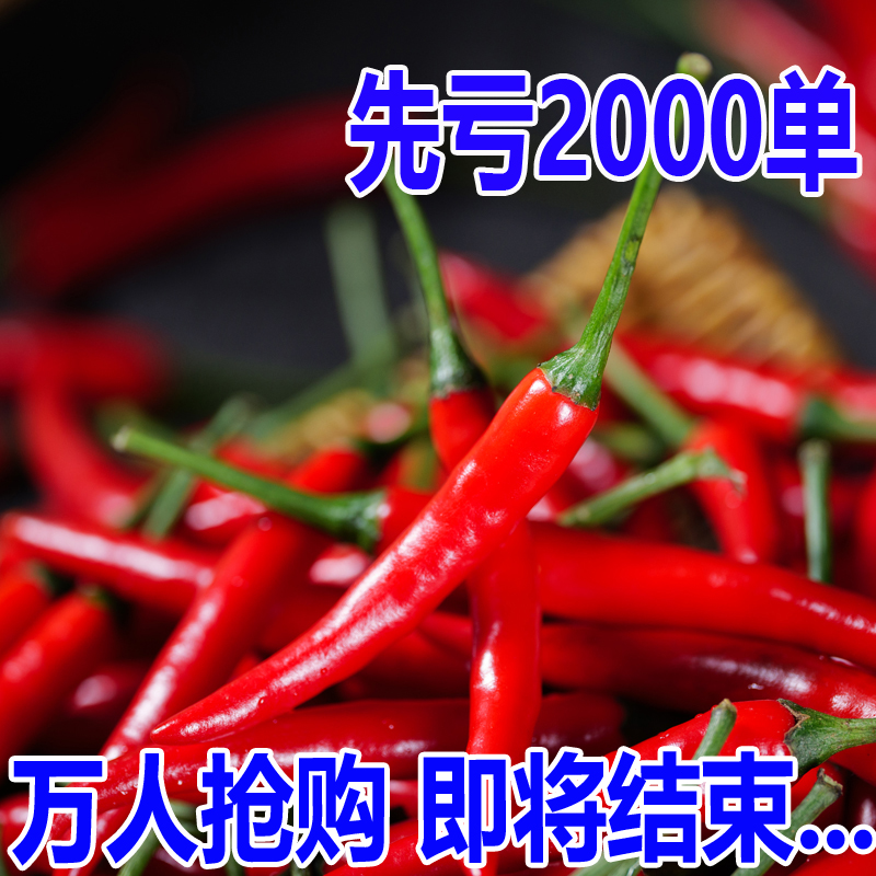 批发整件新鲜现摘特辣小米椒全红朝天椒指天椒海椒杭椒泡椒剁辣椒