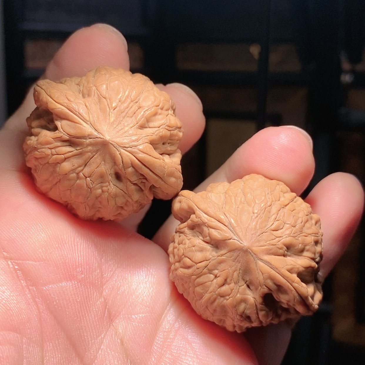 【闪购商品】文玩核桃把件39.5铁锤
