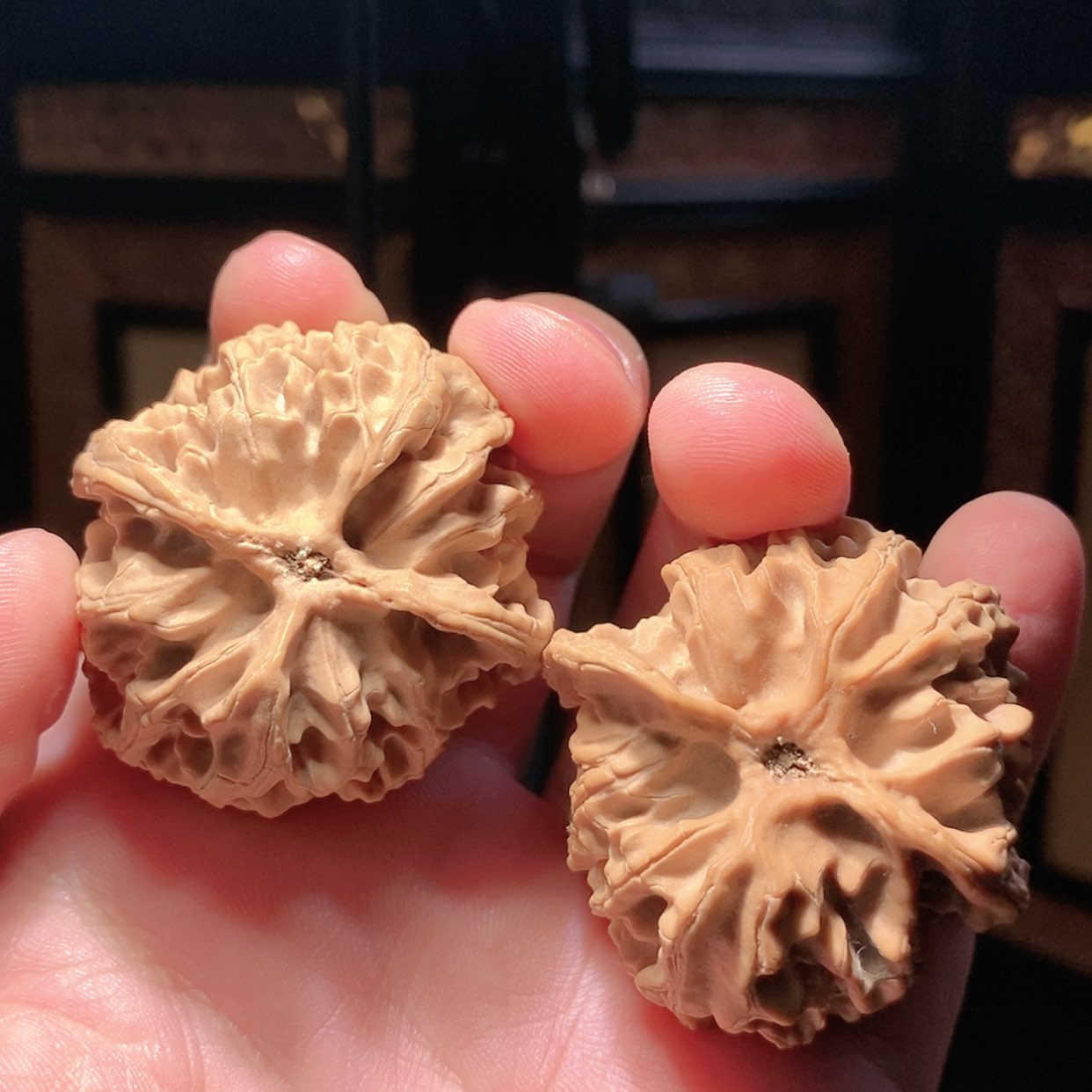 【闪购商品】文玩核桃把件39苹果圆